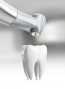Dental Bearings in Operation