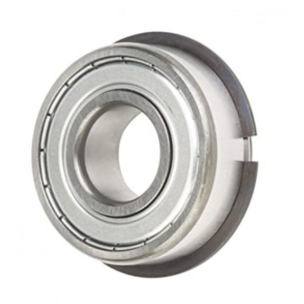 Shielded Bearing with Snap Ring