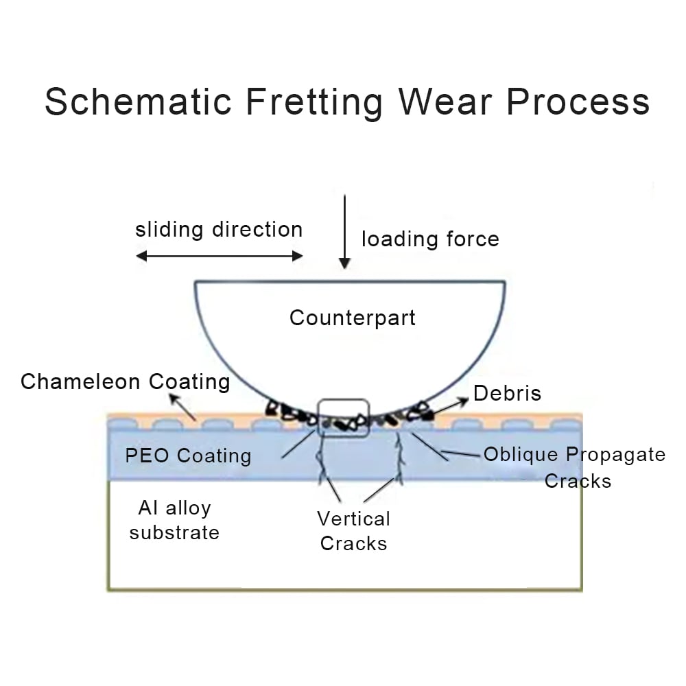 Schematic Fretting Wear Process