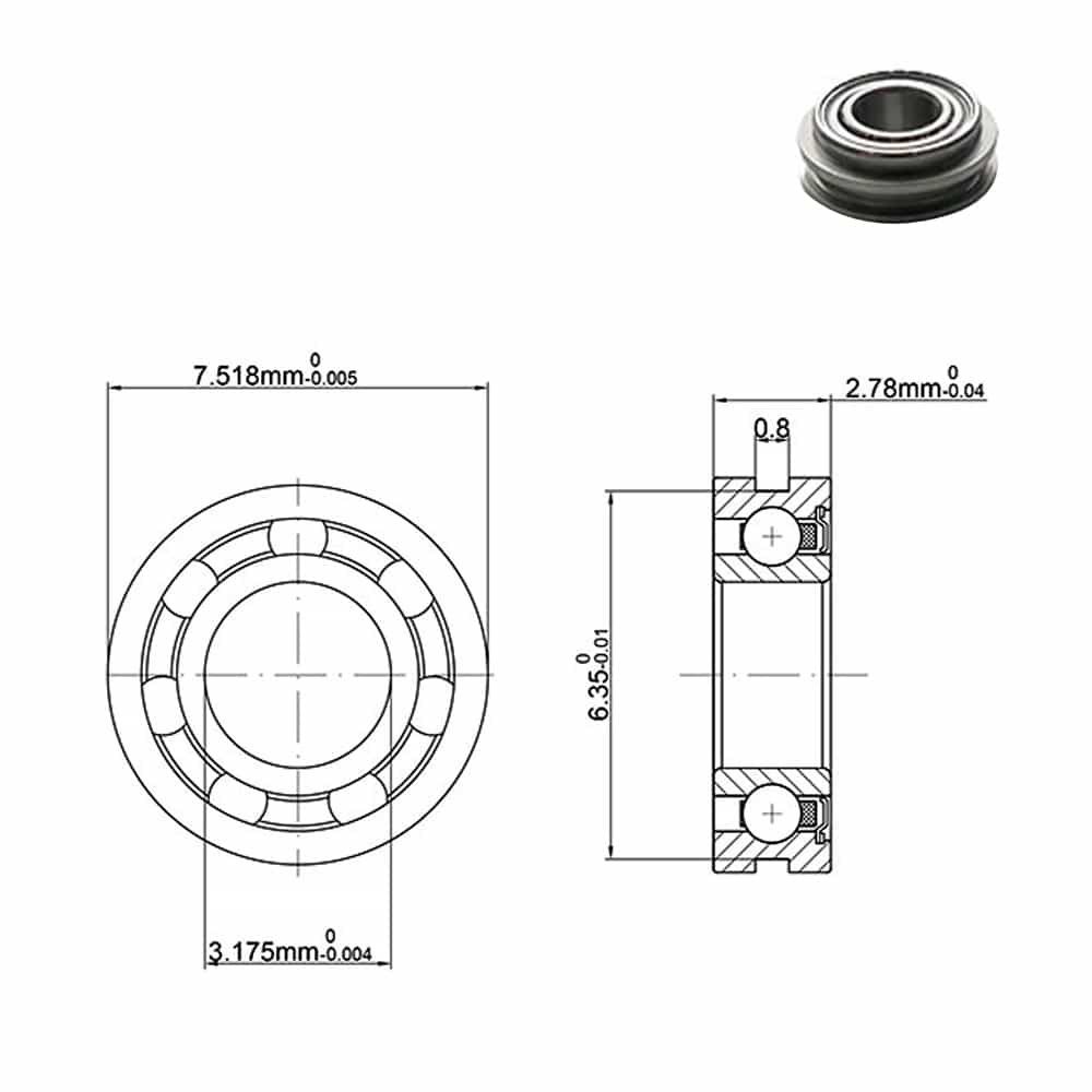 Structure of a Unique Dental Bearing