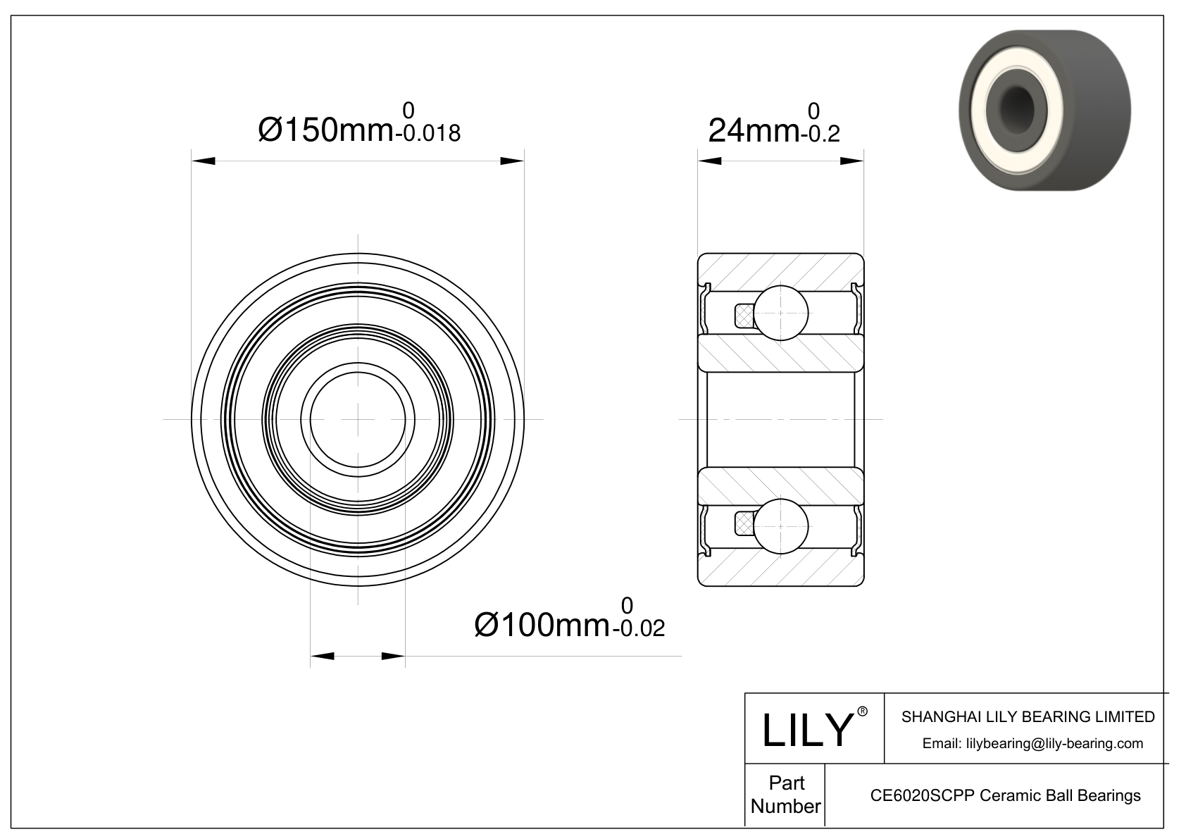 CESC 6020 2RS Metric Size Silicon Carbide Ceramic Bearings cad drawing