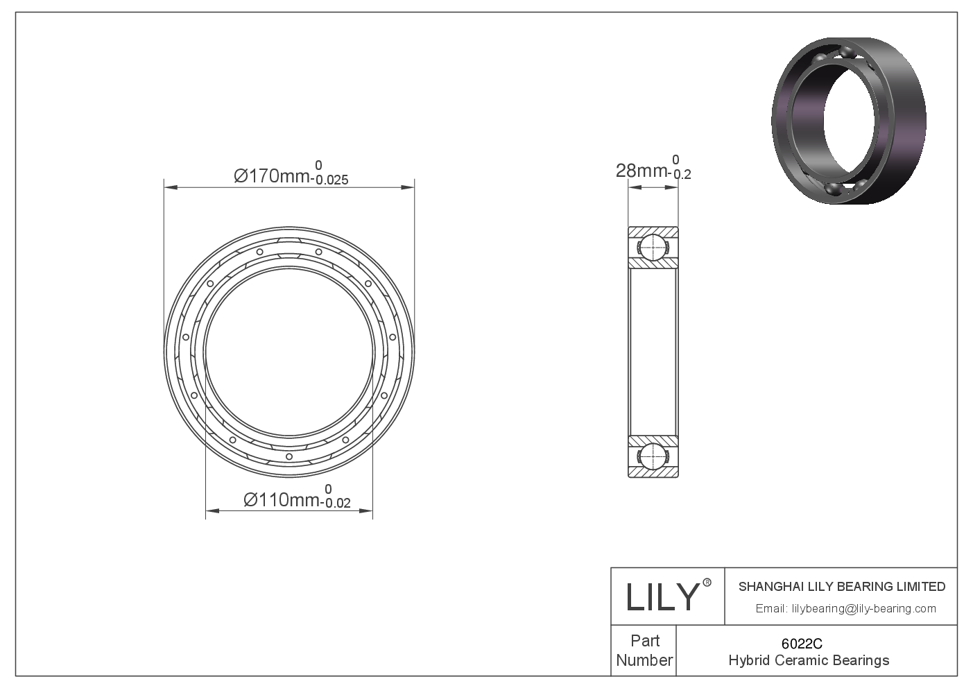 6022C Rodamientos Cerámicos Híbridos de Bolas de Ranura Profunda cad drawing