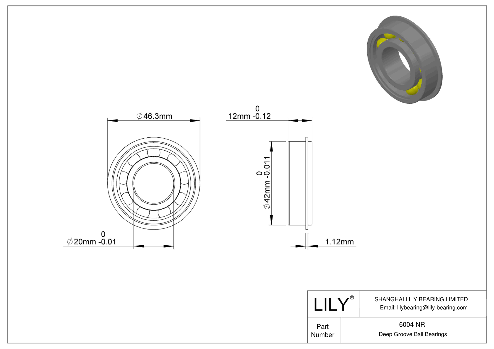 6004 NR Rodamiento ranurado de bolas con anillo elástico cad drawing