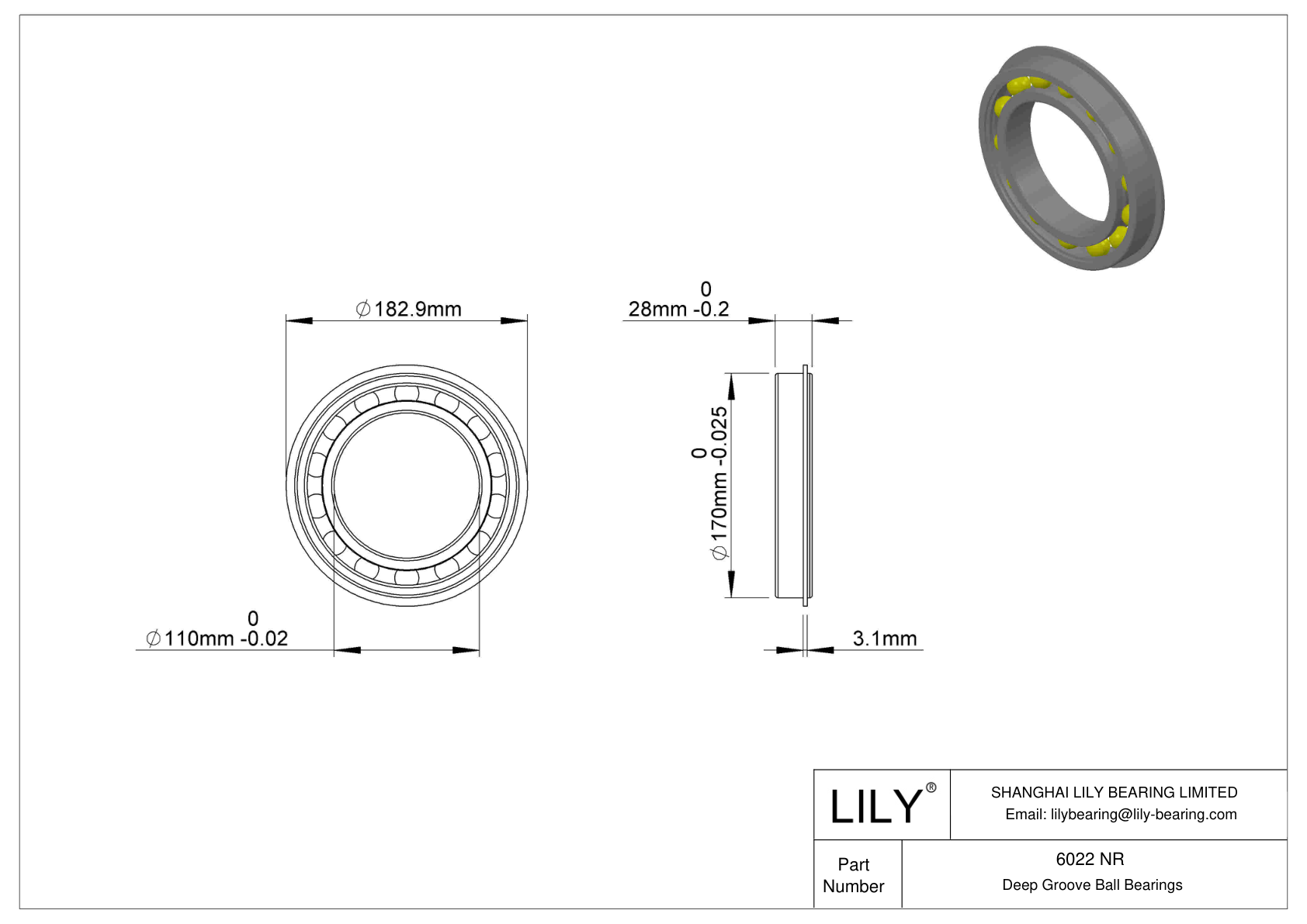 6022 NR 卡环沟槽球轴承 cad drawing