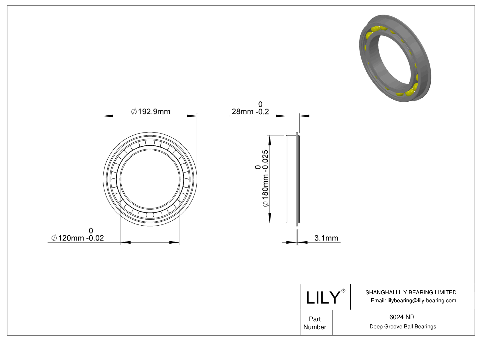 6024 NR 卡环沟槽球轴承 cad drawing