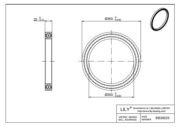 BB30025 Four Point Contact Ball Slewing Ring Bearing cad drawing
