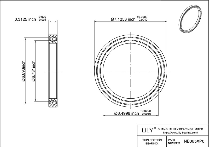 NB065XP0 Constant Section (CS) Bearings cad drawing