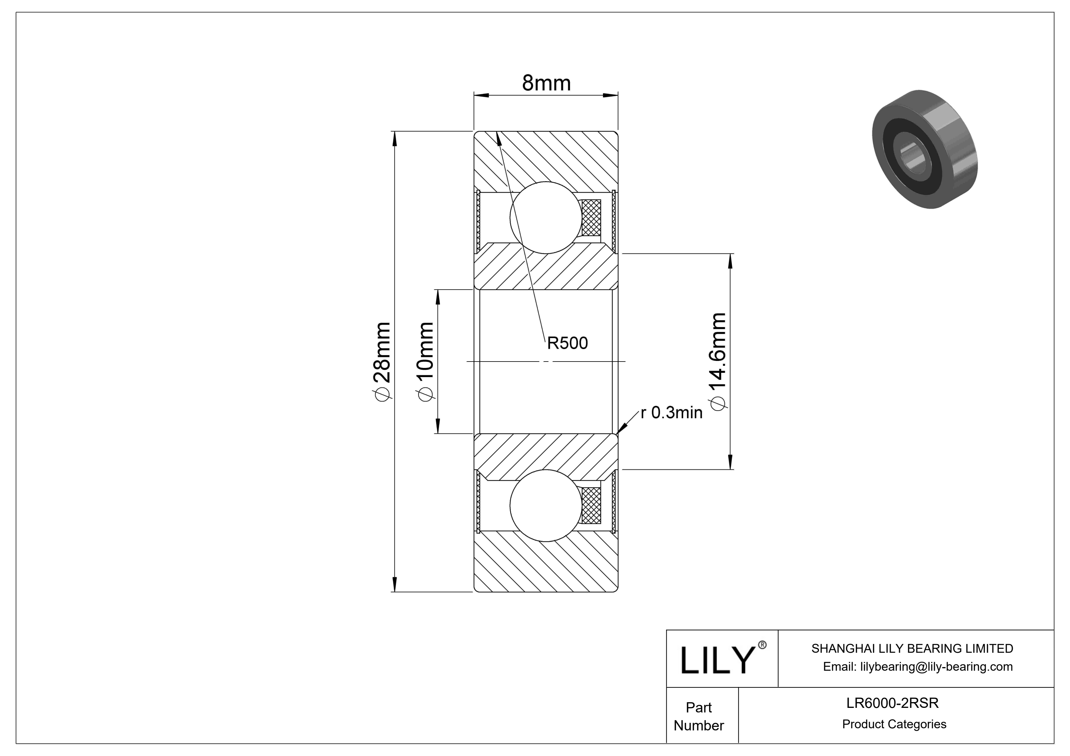 LR6000-2RSR Yugo seguidor de leva cad drawing