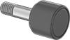 Maintenance-Free Ultra-Corrosion-Resistant Threaded Track Rollers
