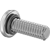 Sealing Rounded Head Screws