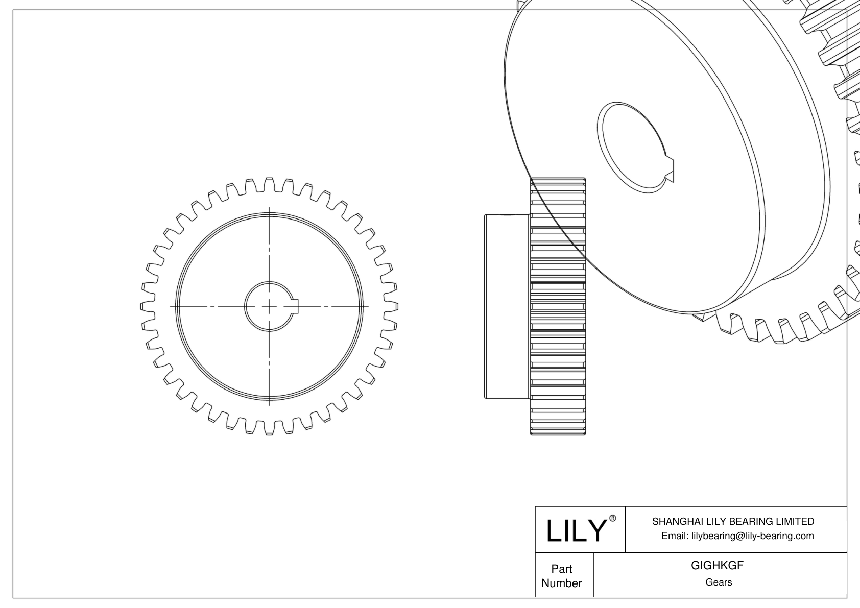 GIGHKGF Engranajes metálicos - Ángulo de presión de 14 1/2 cad drawing