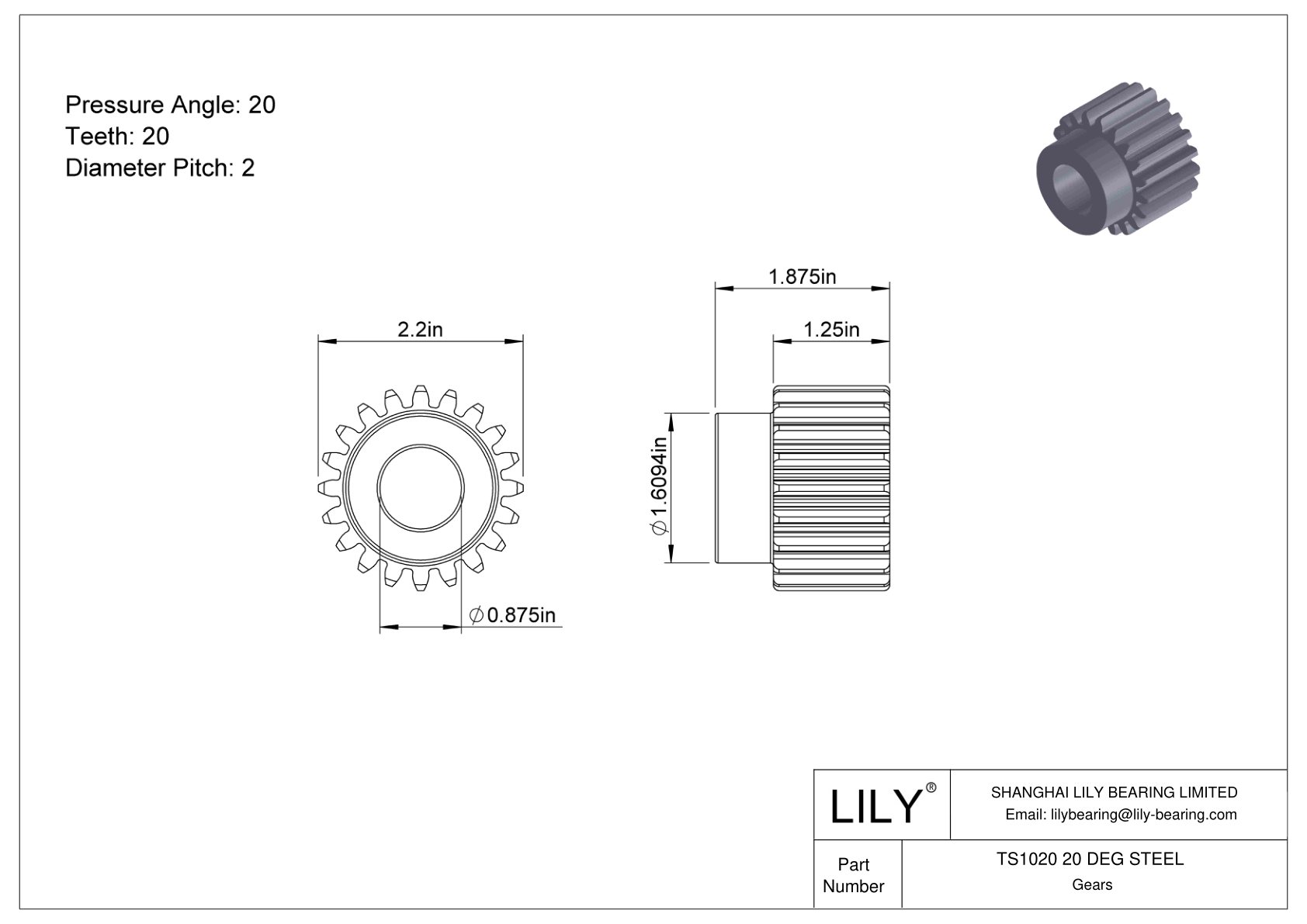 TS1020 20 DEG STEEL Engranajes rectos cad drawing