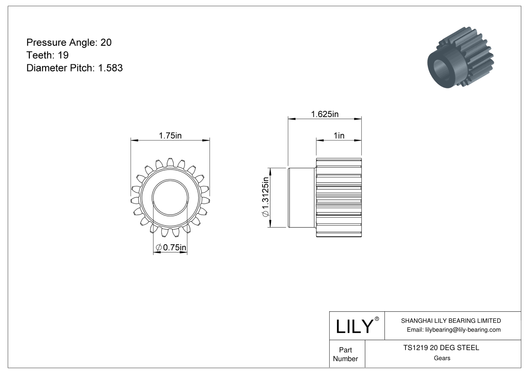 TS1219 20 DEG STEEL Engranajes rectos cad drawing