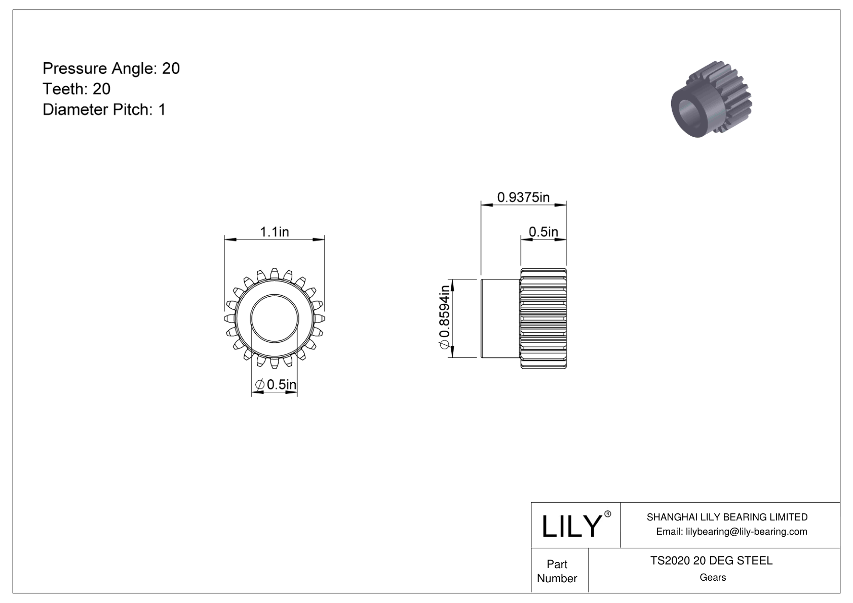 TS2020 20 DEG STEEL Engranajes rectos cad drawing