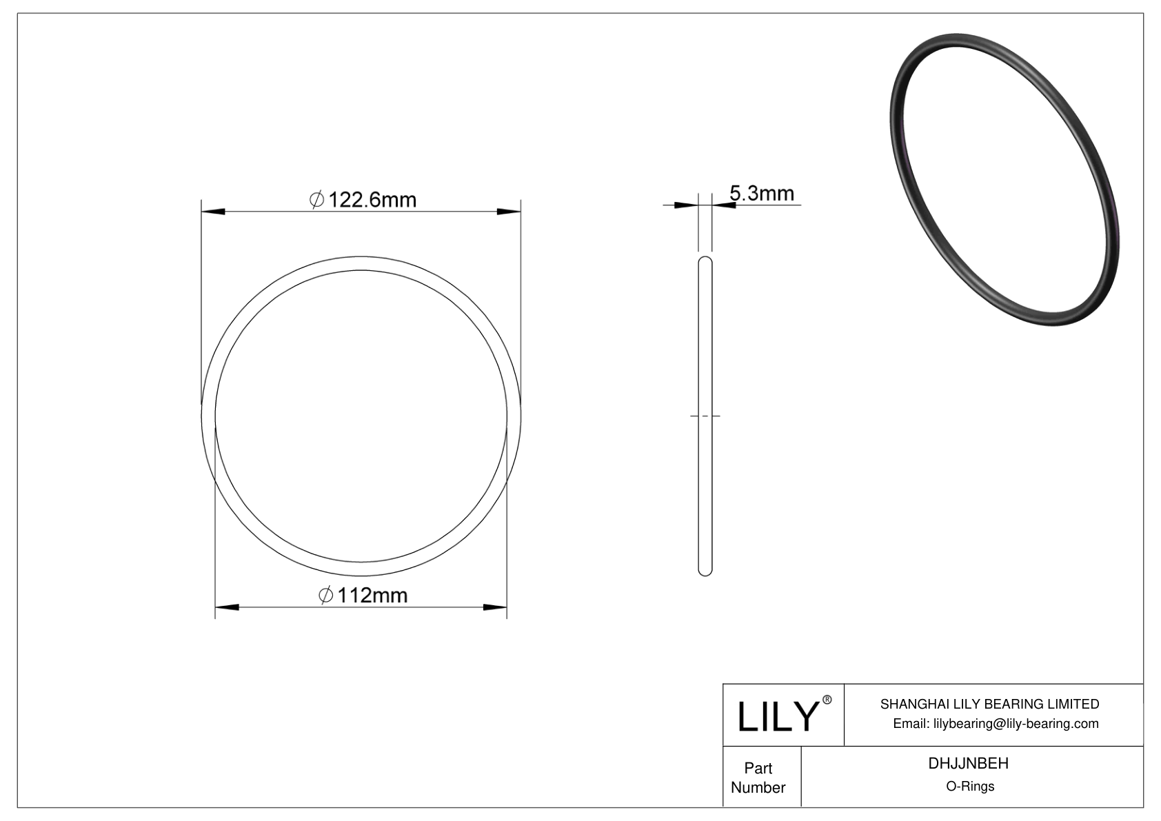 DHJJNBEH Oil Resistant O-Rings Round cad drawing