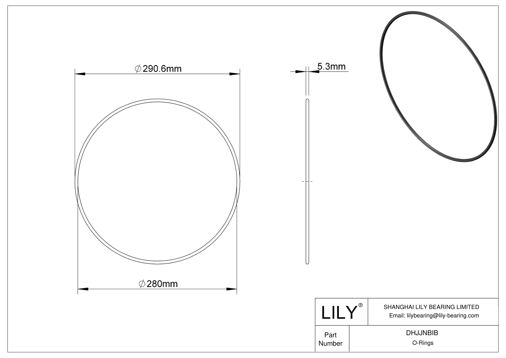 DHJJNBIB Oil Resistant O-Rings Round cad drawing