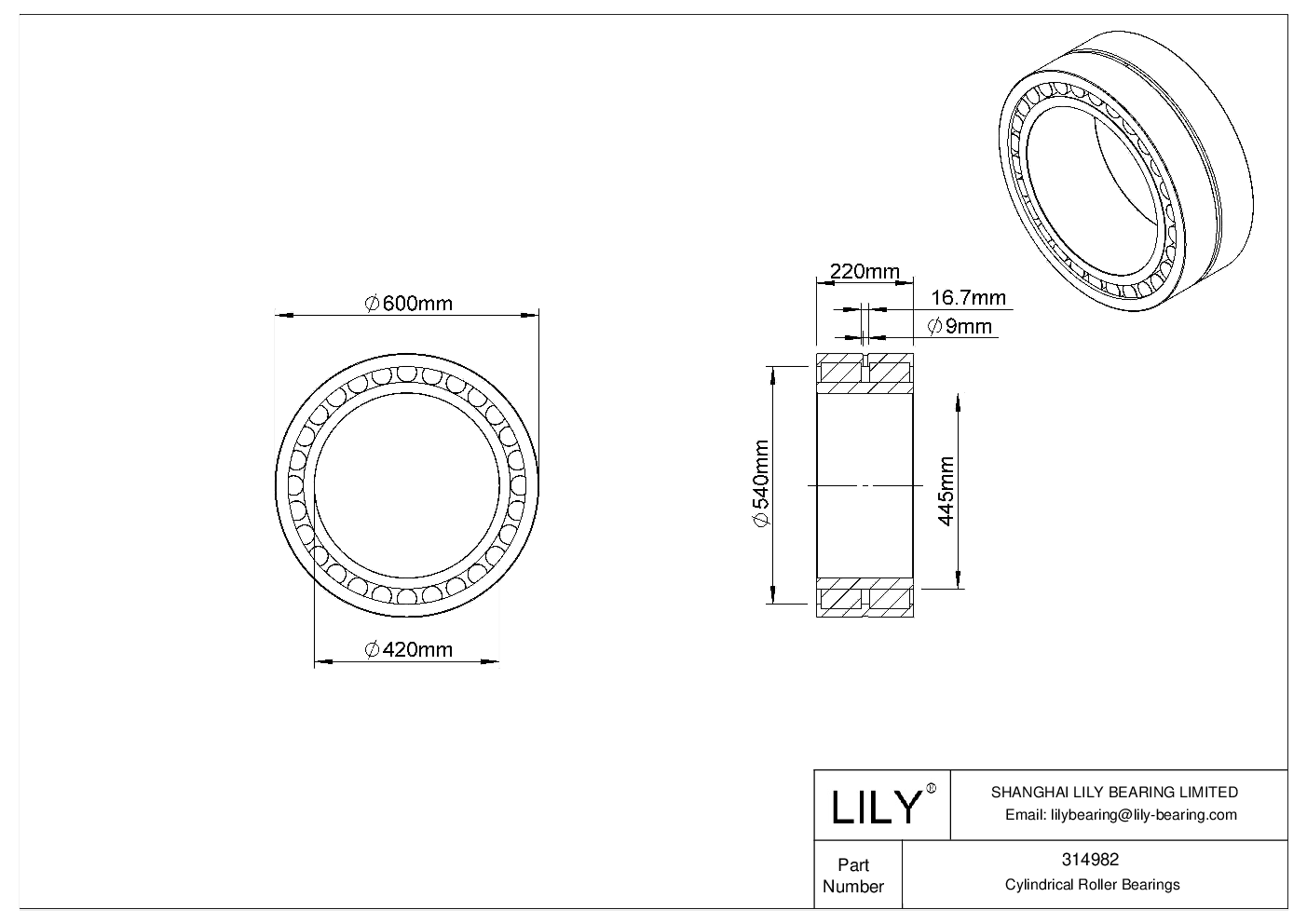 314982 Rodamientos de Rodillos Cilíndricos de Doble Hilera cad drawing