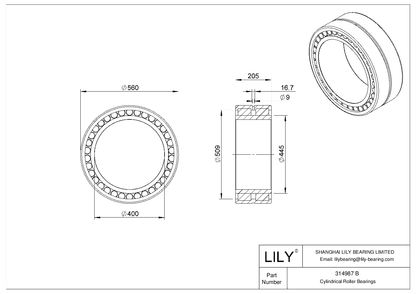 314987 B Double Row Cylindrical Roller Bearings cad drawing