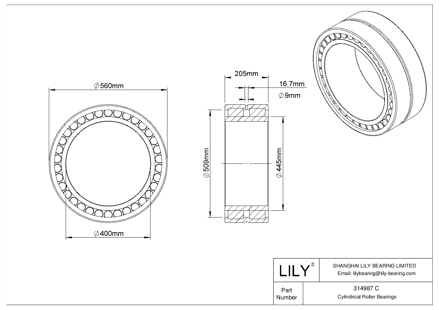 314987 C Double Row Cylindrical Roller Bearings cad drawing