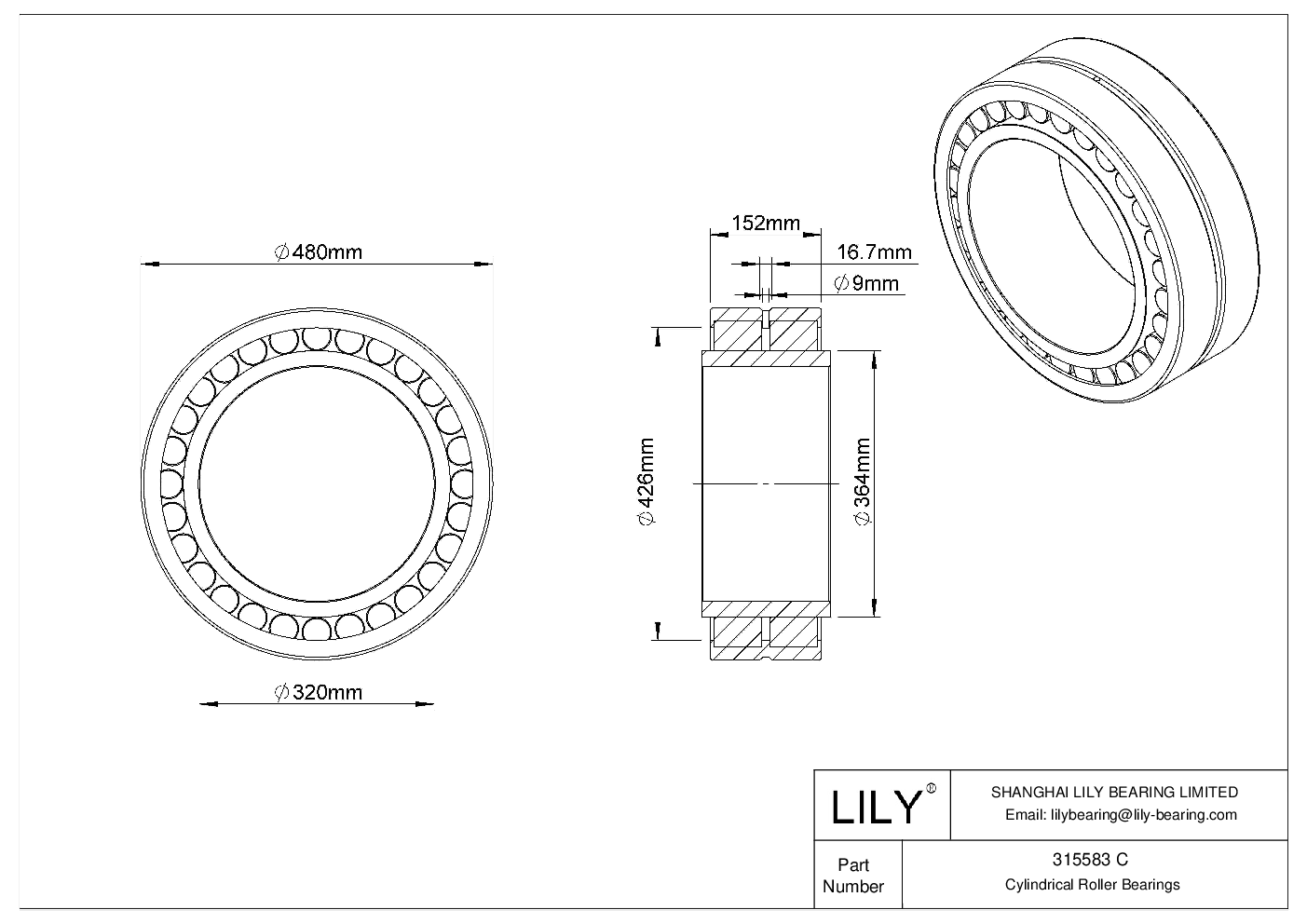 315583 C Double Row Cylindrical Roller Bearings cad drawing