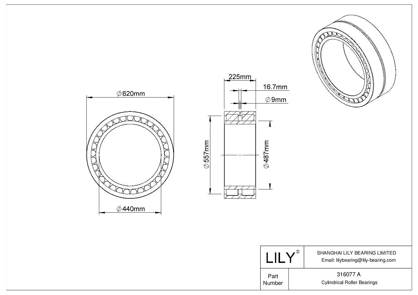 316077 A Double Row Cylindrical Roller Bearings cad drawing