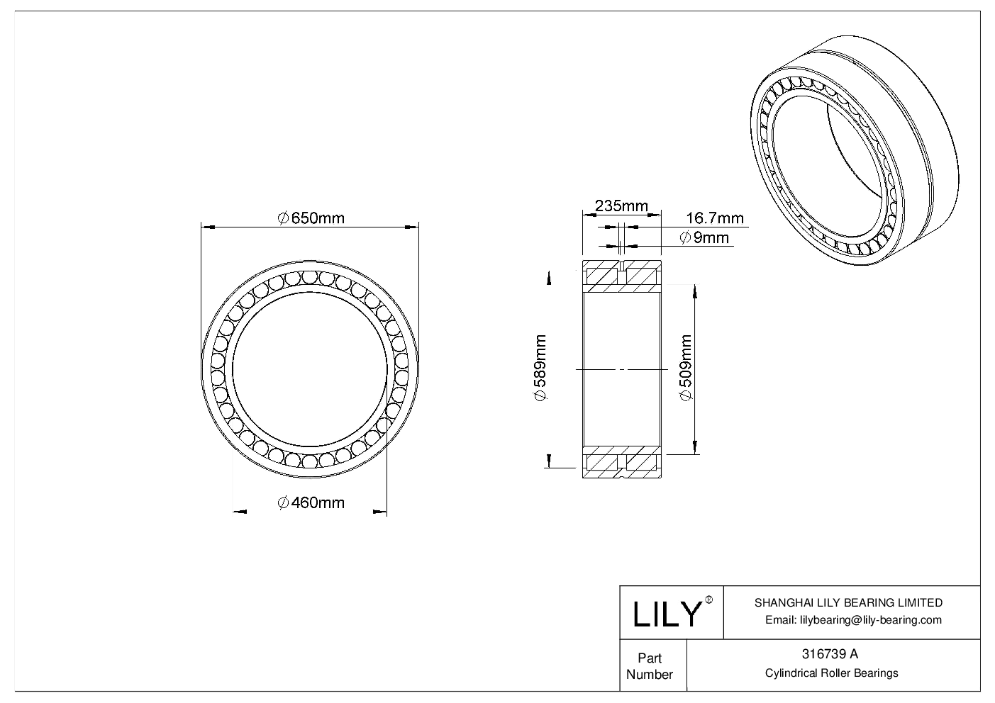 316739 A Double Row Cylindrical Roller Bearings cad drawing