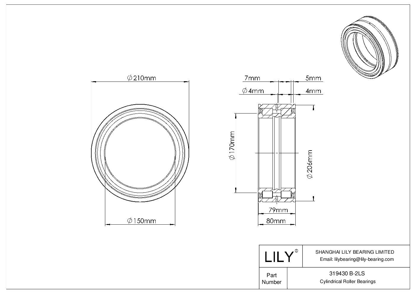 319430 B-2LS Double Row Full Complement Cylindrical Roller Bearings cad drawing