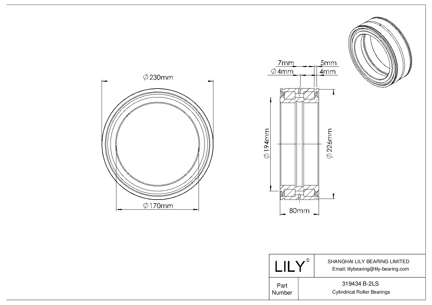 319434 B-2LS Double Row Full Complement Cylindrical Roller Bearings cad drawing