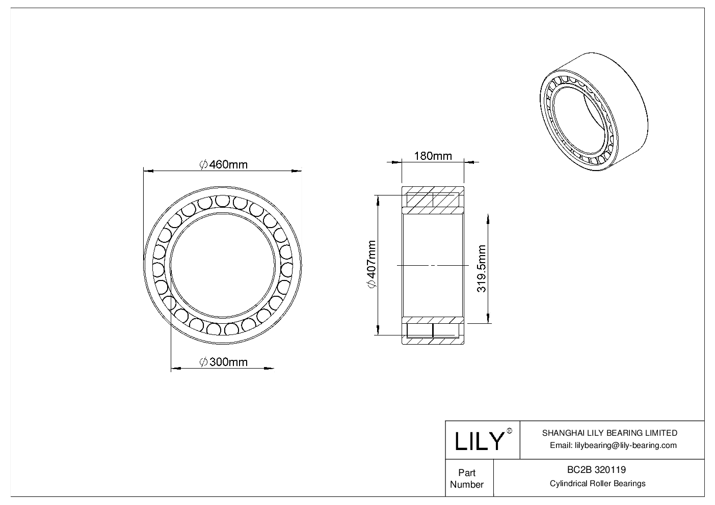 BC2B 320119 Double Row Cylindrical Roller Bearings cad drawing