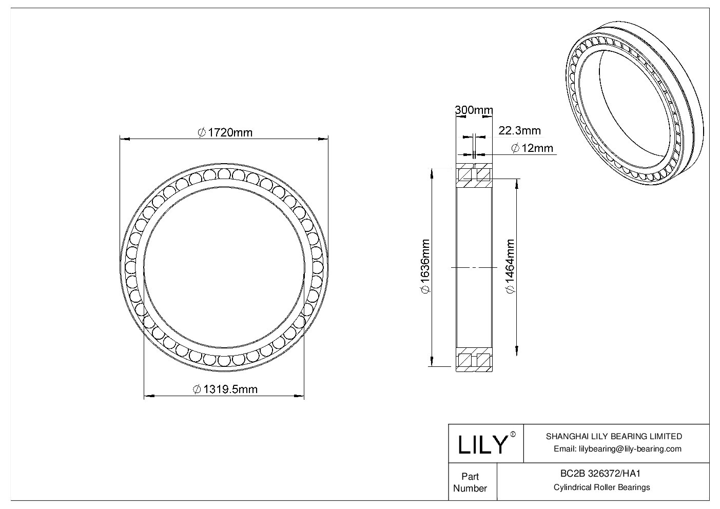 BC2B 326372/HA1 Double Row Cylindrical Roller Bearings cad drawing