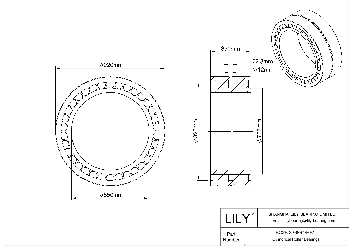 BC2B 326894/HB1 Double Row Cylindrical Roller Bearings cad drawing