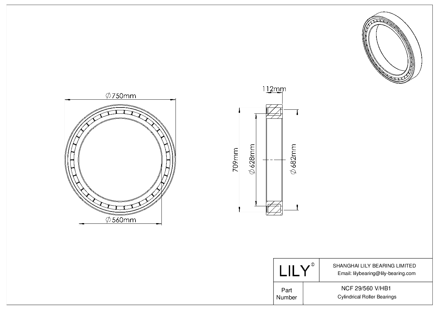 NCF 29/560 V/HB1 Single Row Full Complement Cylindrical Roller Bearings cad drawing