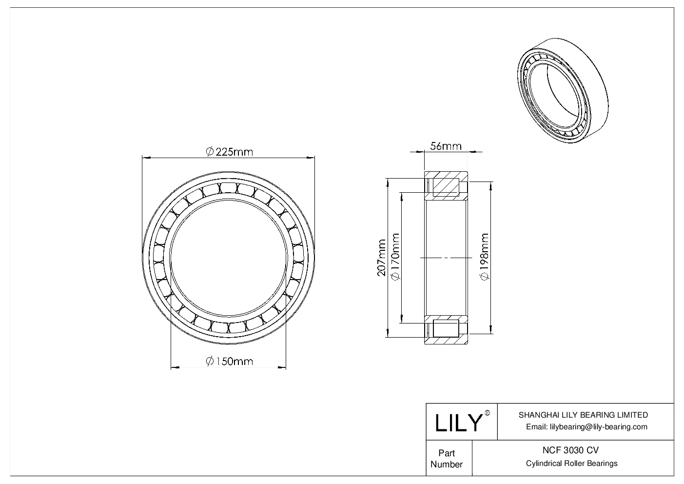 NCF 3030 CV Single Row Full Complement Cylindrical Roller Bearings cad drawing