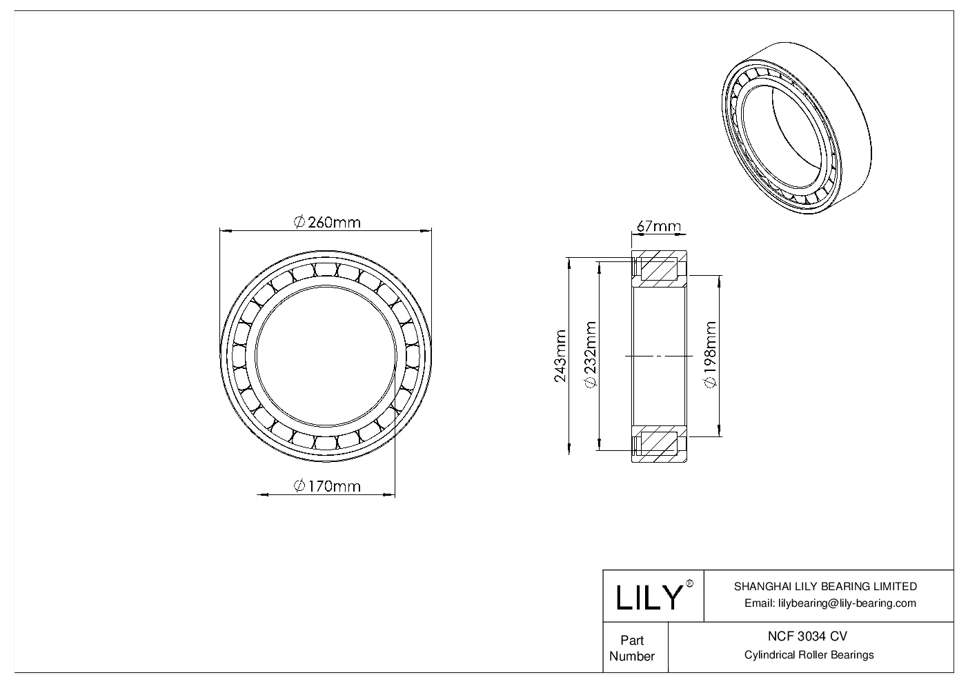 NCF 3034 CV Single Row Full Complement Cylindrical Roller Bearings cad drawing