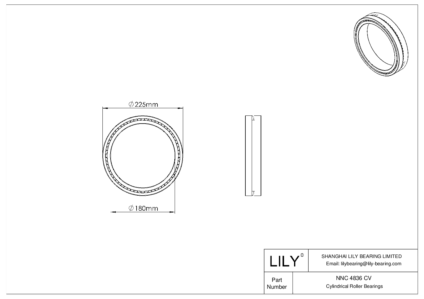 NNC 4836 CV Double Row Full Complement Cylindrical Roller Bearings cad drawing