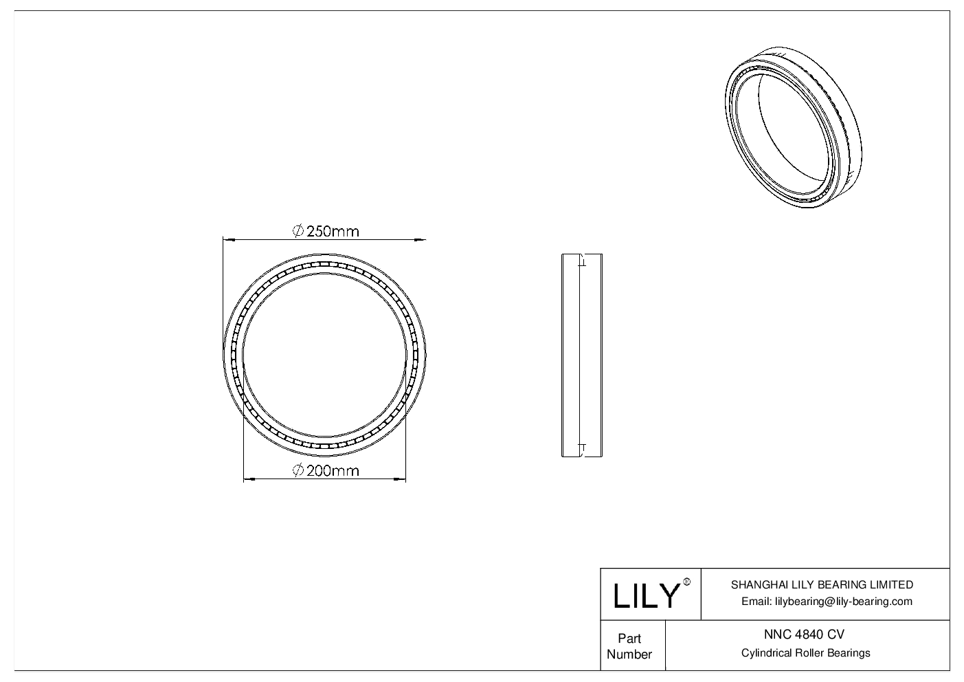 NNC 4840 CV Double Row Full Complement Cylindrical Roller Bearings cad drawing