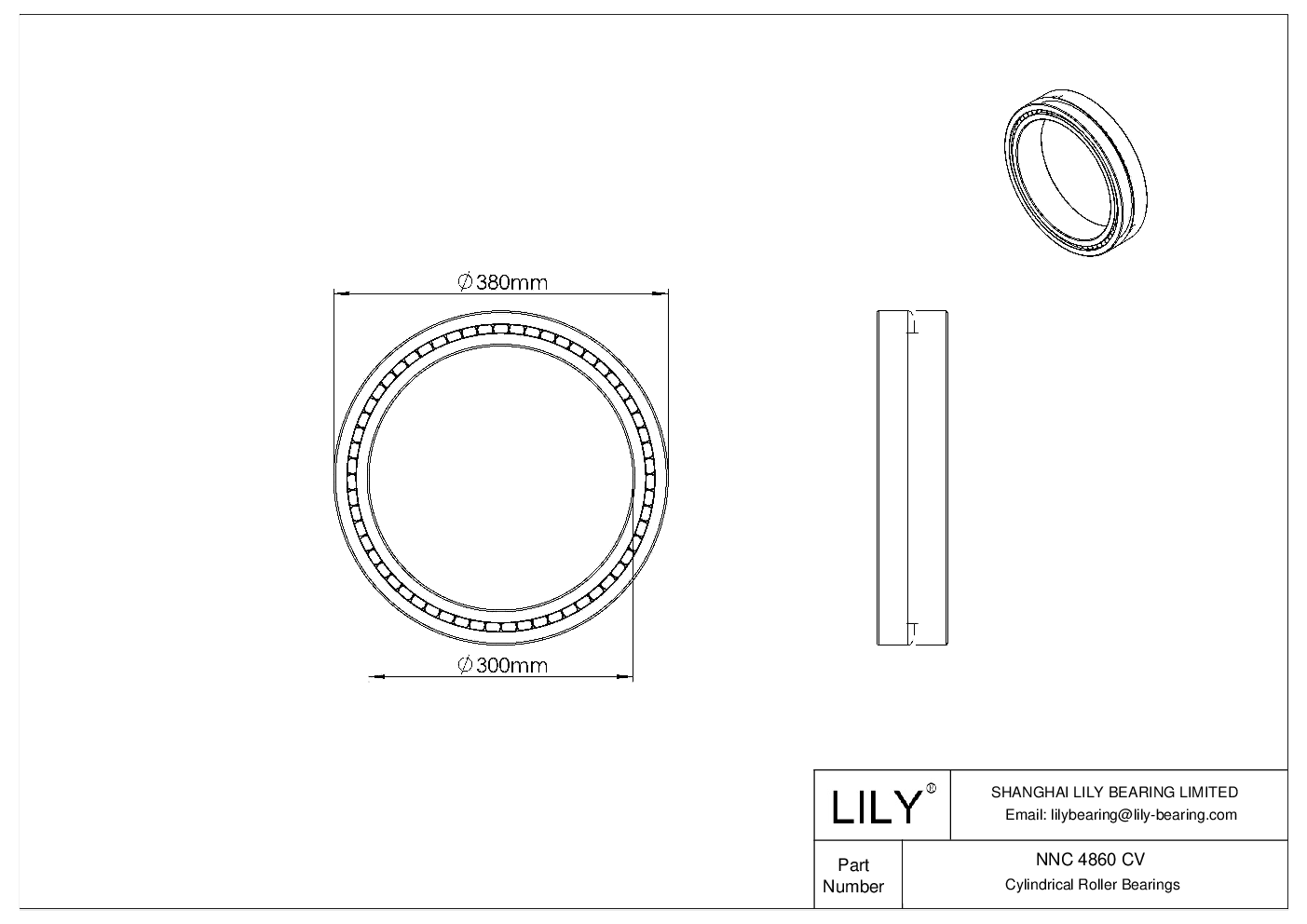 NNC 4860 CV Double Row Full Complement Cylindrical Roller Bearings cad drawing