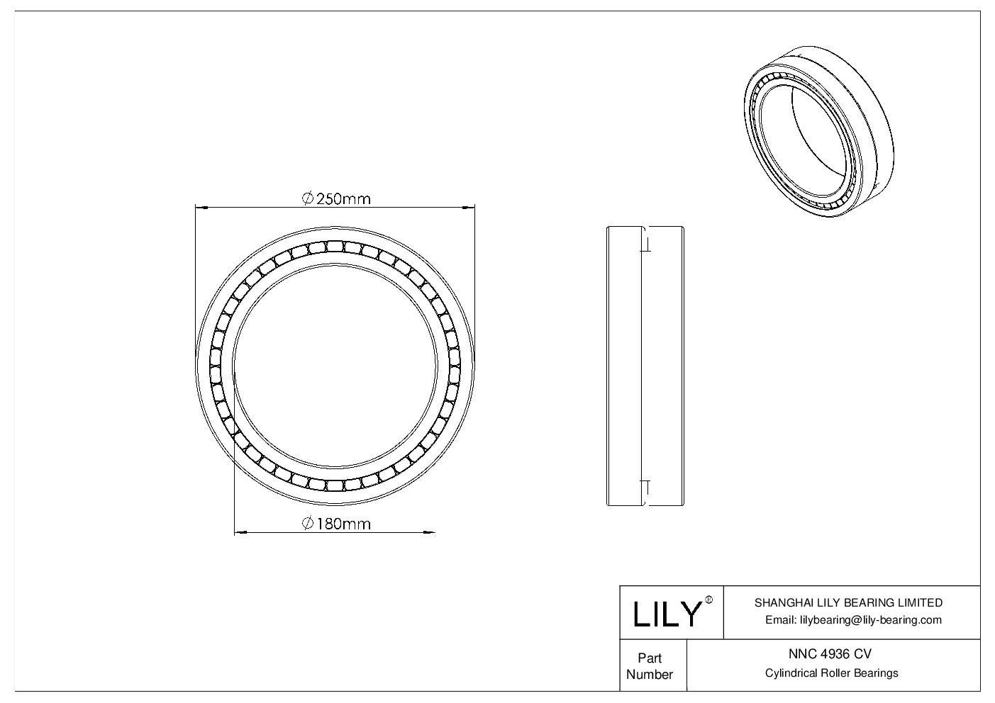 NNC 4936 CV Double Row Full Complement Cylindrical Roller Bearings cad drawing