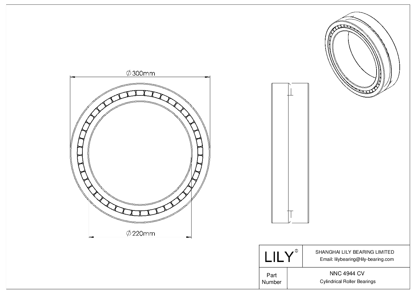 NNC 4944 CV Double Row Full Complement Cylindrical Roller Bearings cad drawing