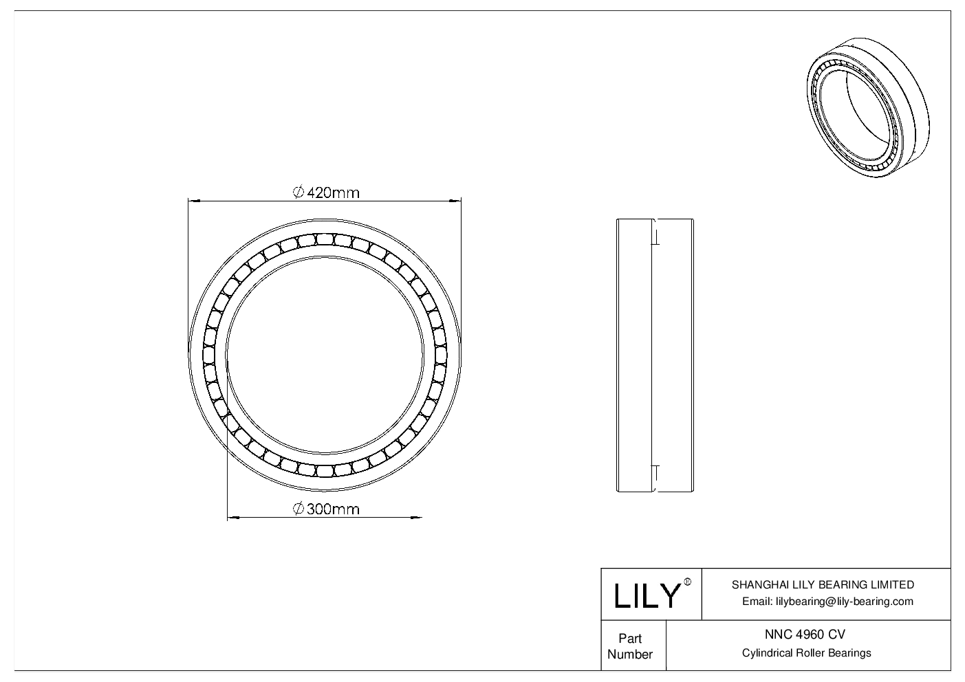 NNC 4960 CV Double Row Full Complement Cylindrical Roller Bearings cad drawing