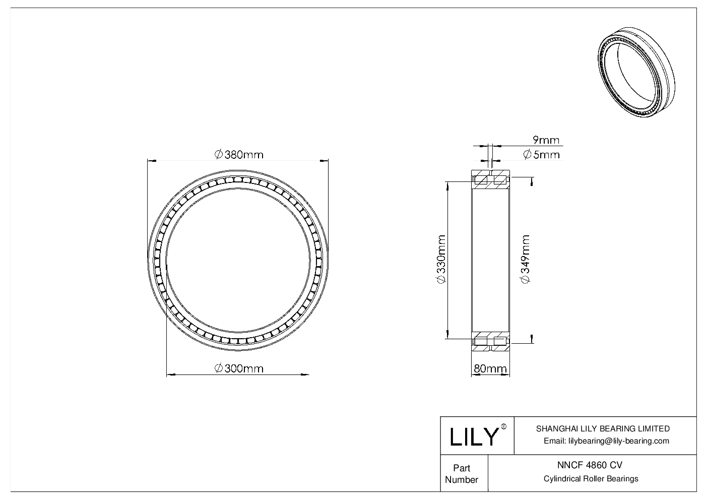 NNCF 4860 CV 双列满装圆柱滚子轴承 cad drawing