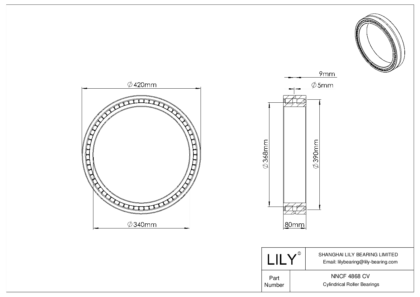 NNCF 4868 CV Double Row Full Complement Cylindrical Roller Bearings cad drawing