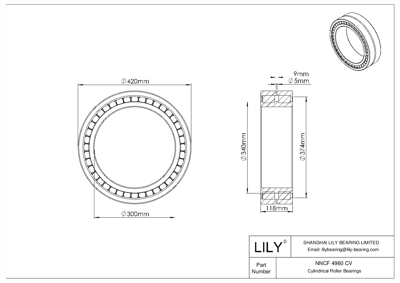 NNCF 4960 CV Rodamientos de rodillos cilíndricos de doble hilera de dotación completa cad drawing