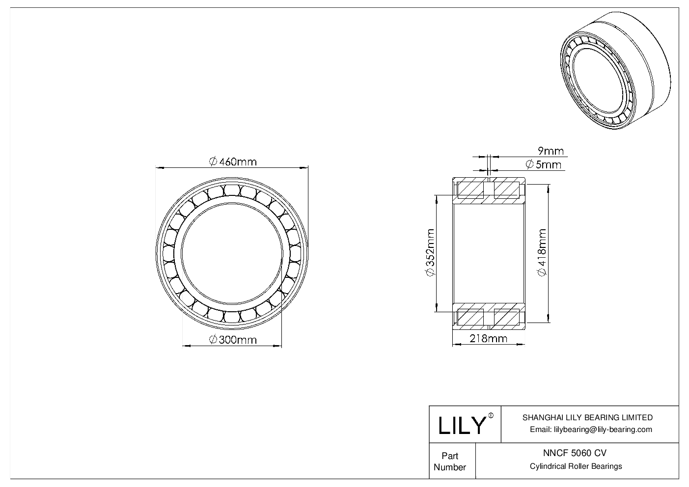 NNCF 5060 CV Double Row Full Complement Cylindrical Roller Bearings cad drawing