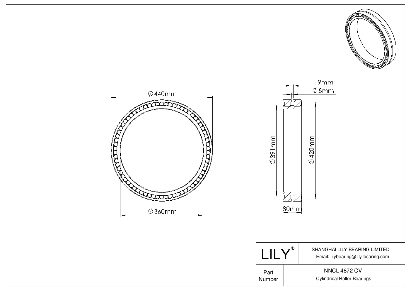 NNCL 4872 CV Double Row Full Complement Cylindrical Roller Bearings cad drawing