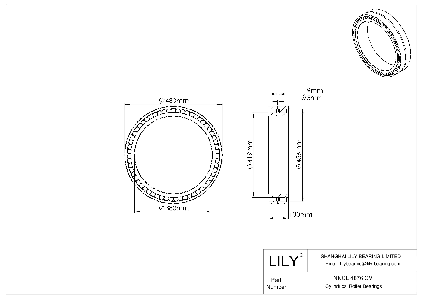 NNCL 4876 CV 双列满装圆柱滚子轴承 cad drawing