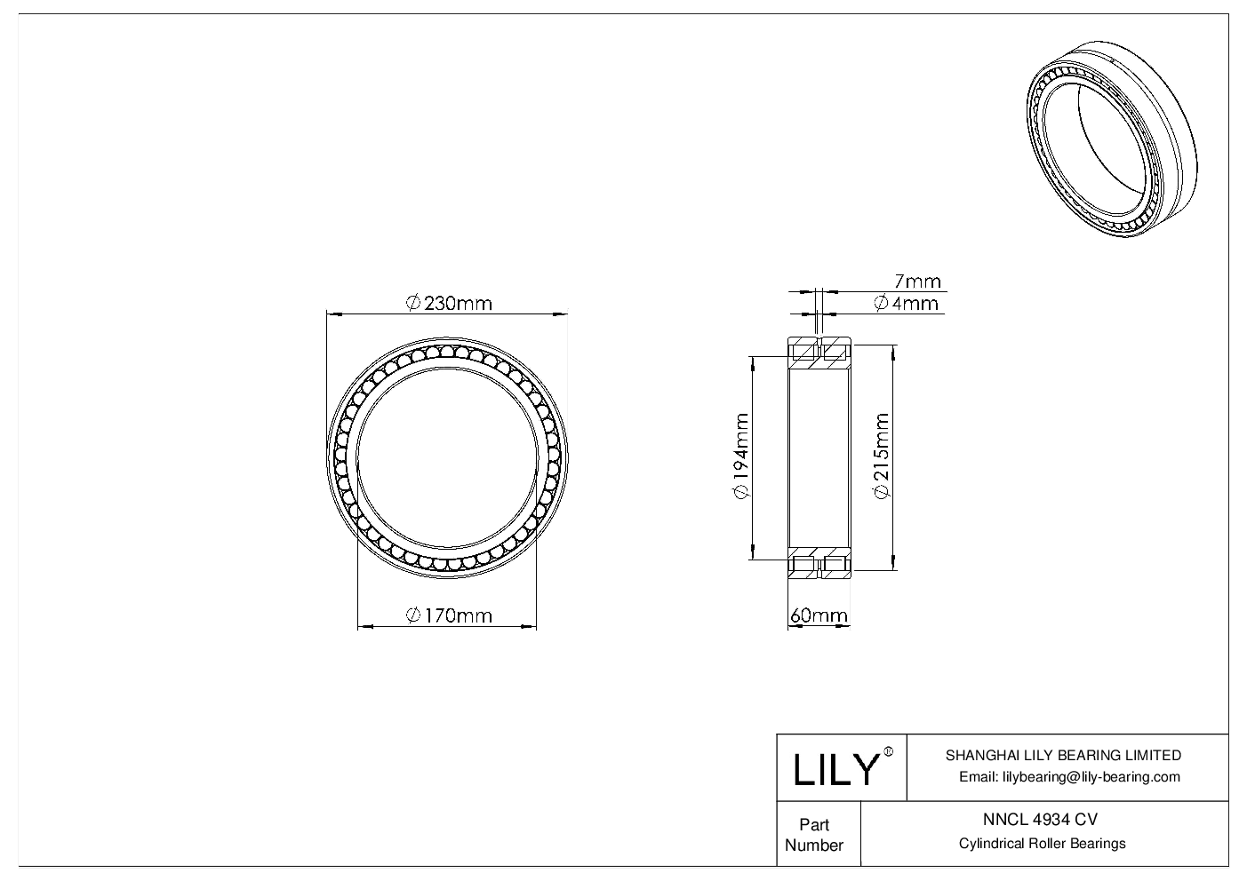 NNCL 4934 CV Double Row Full Complement Cylindrical Roller Bearings cad drawing