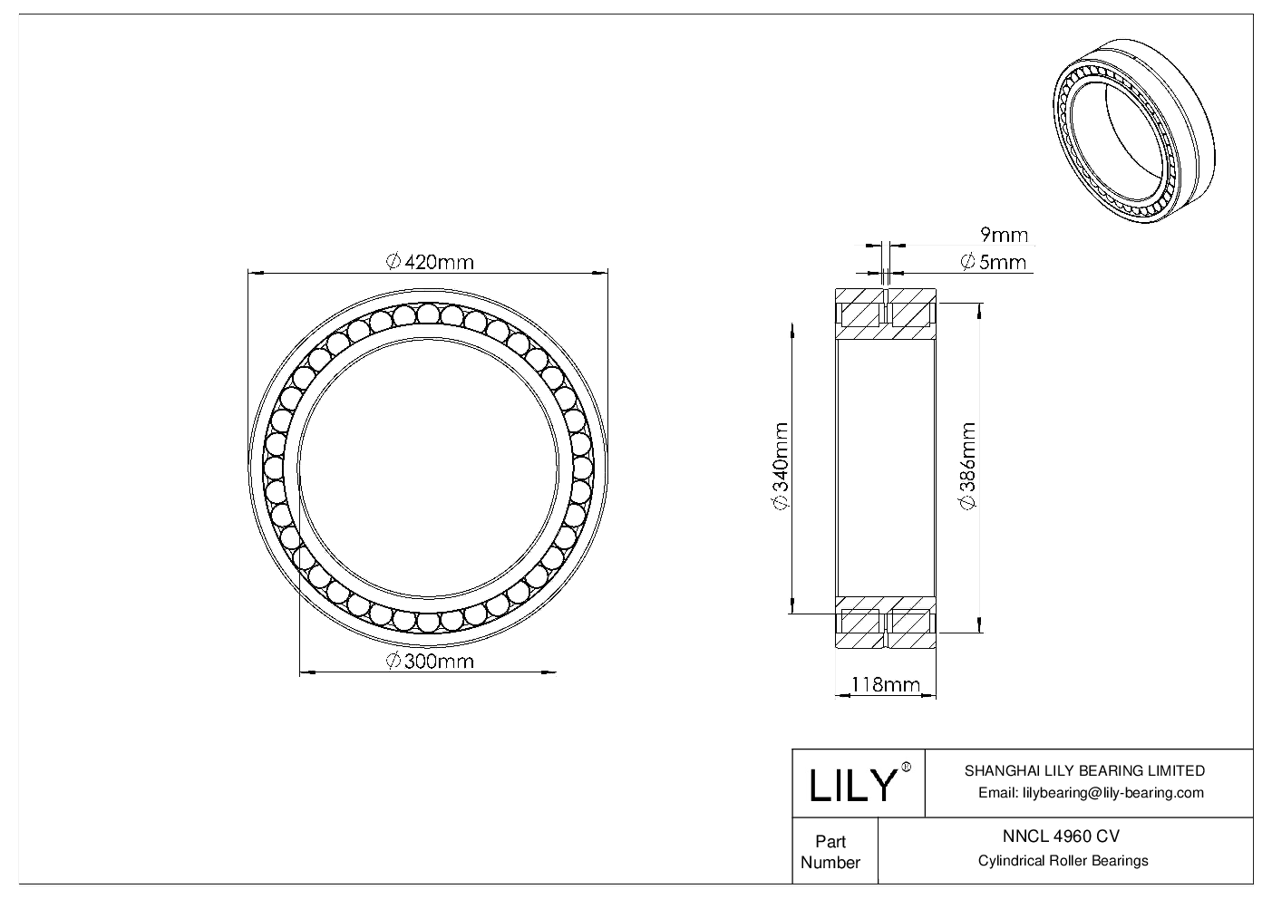 NNCL 4960 CV Double Row Full Complement Cylindrical Roller Bearings cad drawing