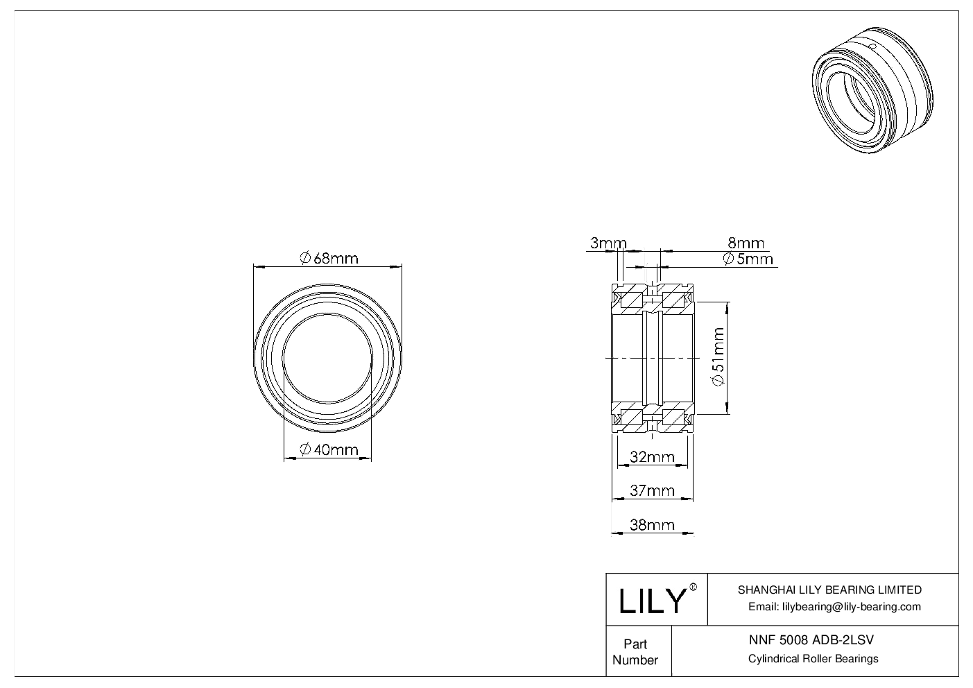 NNF 5008 ADB-2LSV Double Row Full Complement Cylindrical Roller Bearings cad drawing