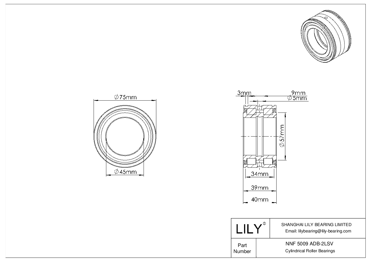 NNF 5009 ADB-2LSV Double Row Full Complement Cylindrical Roller Bearings cad drawing